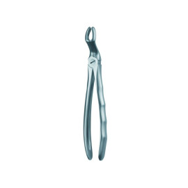 67A FORCEPS CORDAL SUPERIOR...