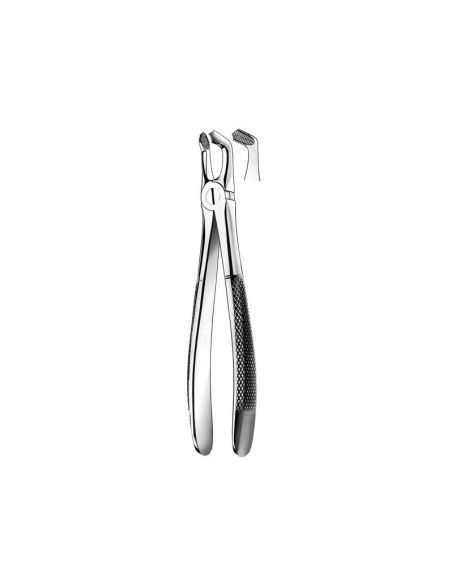 79 FORCEPS CORDALES INFERIORES