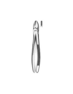 1 FORCEPS INCISIVO-CANINO SUP. CARL MARTIN