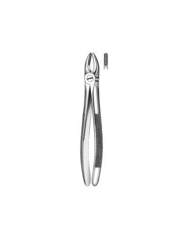 1 FORCEPS INCISIVO-CANINO SUP. CARL MARTIN