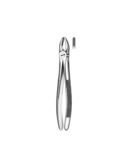 1 FORCEPS INCISIVO-CANINO SUP. CARL MARTIN