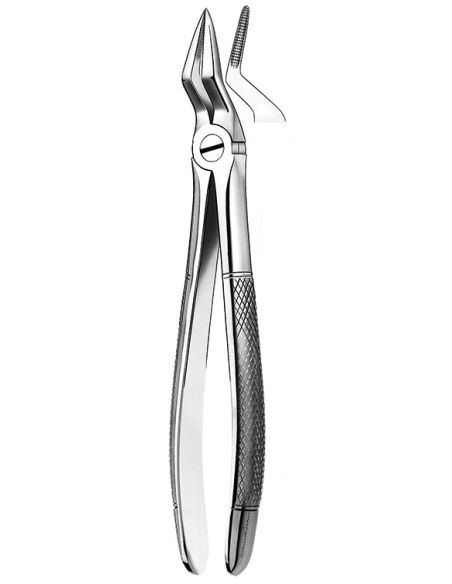 51 FORCEPS RAICES SUPERIORES CARL MARTIN