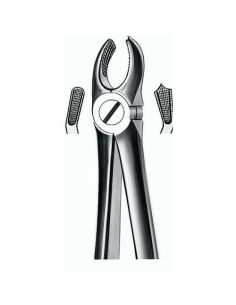 17 FORCEPS MOLAR SUP. DERECHO CARL MARTIN