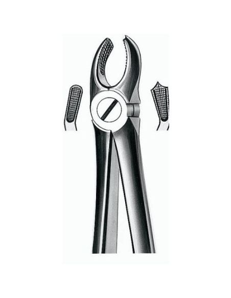 17 FORCEPS MOLAR SUP. DERECHO CARL MARTIN