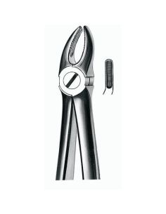 7 FORCEPS PREMOLAR SUPERIOR CARL MARTIN