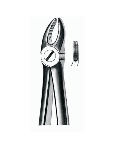 7 FORCEPS PREMOLAR SUPERIOR CARL MARTIN