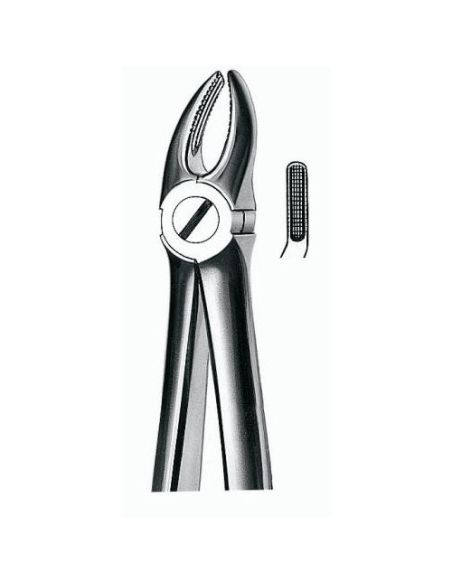 7 FORCEPS PREMOLAR SUPERIOR CARL MARTIN