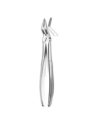 51 FORCEPS RAICES SUPERIORES. CARL MARTIN