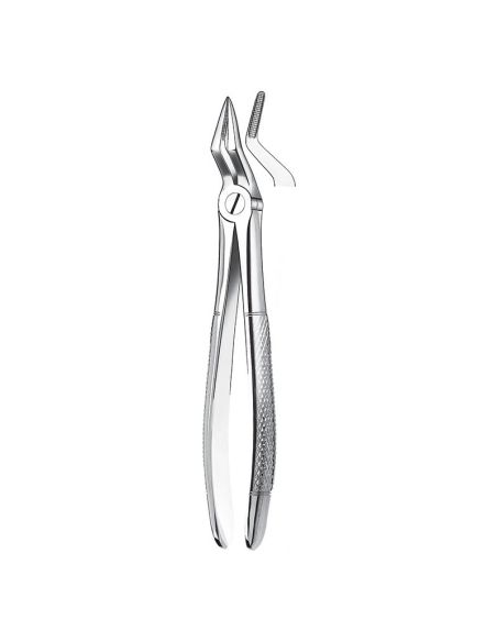 51 FORCEPS RAICES SUPERIORES. CARL MARTIN