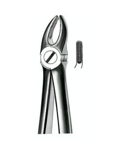 FORCEPS PREMOLAR SUPERIOR CARL MARTIN