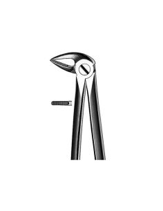FORCEPS RAICES INFERIORES CARL MARTIN