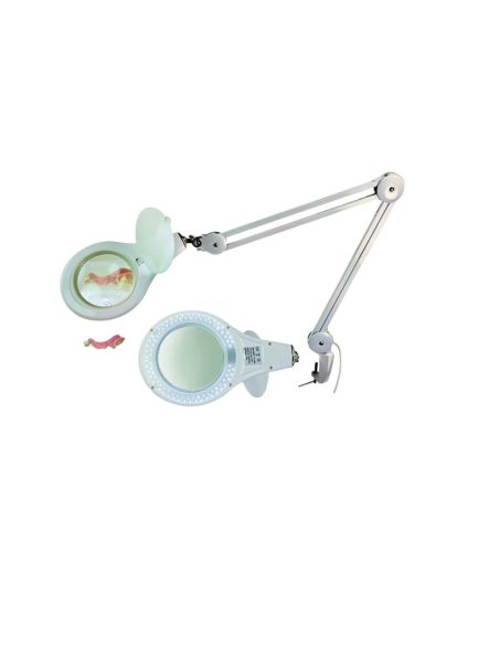 LUPA ILUMINADA LED X5
